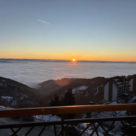 Squirrel Viewpoint Hill B124 Kopaonik