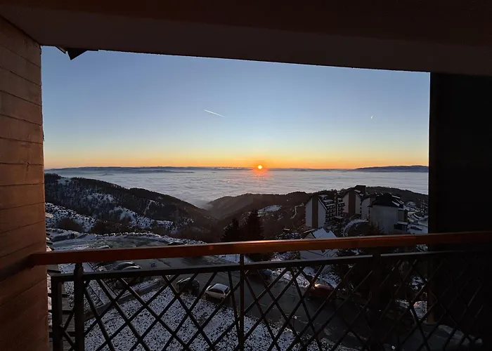 Squirrel Viewpoint Hill B124 شقة كوباونيك